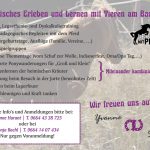 Romanhof_Flyer_2